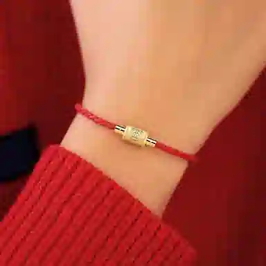 灰鱼 十二生肖红绳新中式国潮蛇年本命年转运简约高级感轻奢复古个性手工编织绳编制穿串珠子叠戴好运 合金 手链 男女同款情侣款