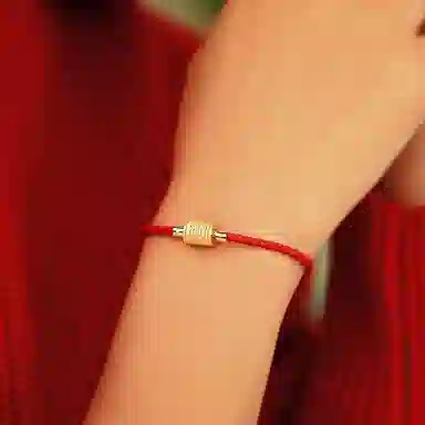 灰鱼 十二生肖红绳新中式国潮蛇年本命年转运简约高级感轻奢复古个性手工编织绳编制穿串珠子叠戴好运 合金 手链 男女同款情侣款