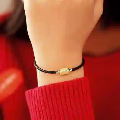 灰鱼 十二生肖红绳新中式国潮蛇年本命年转运简约高级感轻奢复古个性手工编织绳编制穿串珠子叠戴好运 合金 手链 男女同款情侣款