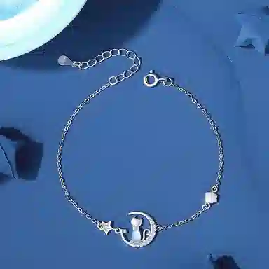 ins S925