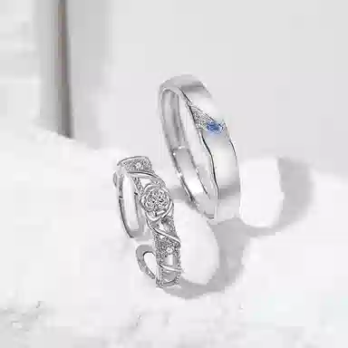 ins S925