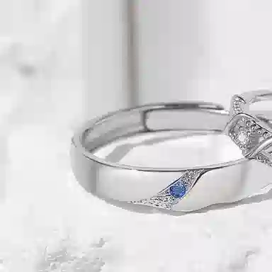 ins S925
