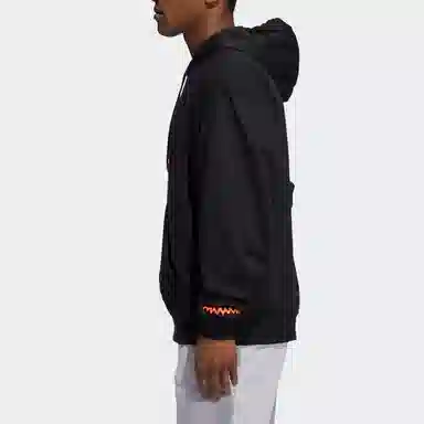 adidas DM PO Hoodie