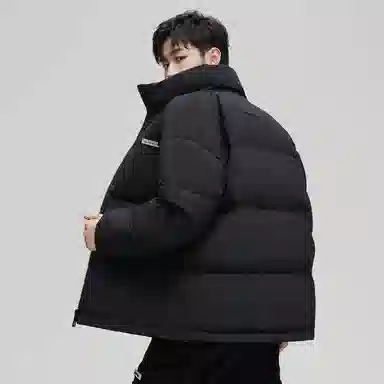 鸭鸭 立领拼色休闲短款羽绒服 男款