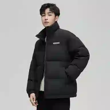 鸭鸭 立领拼色休闲短款羽绒服 男款