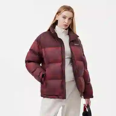 坦博尔 运动印花高充立领面包羽绒服 男女同款