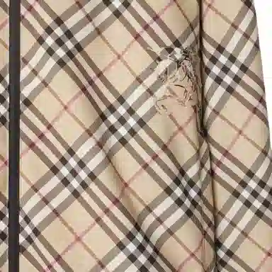 Burberry FW24 Hooded Jacket