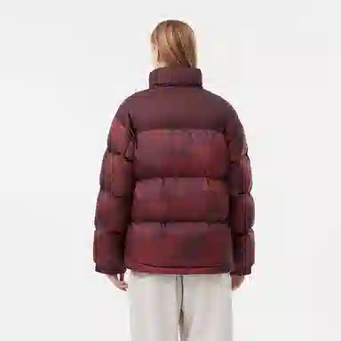 坦博尔 运动印花高充立领面包羽绒服 男女同款