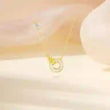 ROGA S925