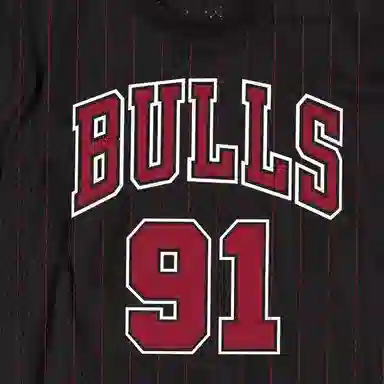 Mitchell Ness T 91