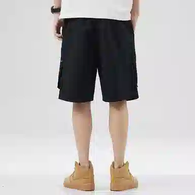 Hansca
