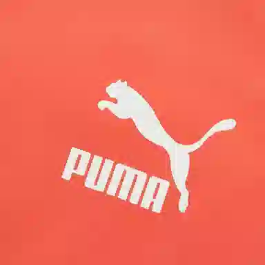 Puma Logo Colorblock Jacket Blue