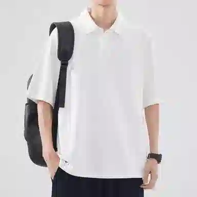 Hansca Polo