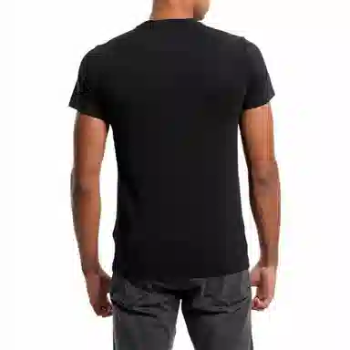 Polo Ralph Lauren T 2