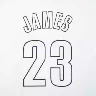 Mitchell Ness 23 T