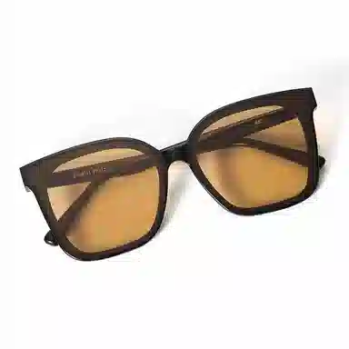 PLASTIC BRAIN THE BLACK