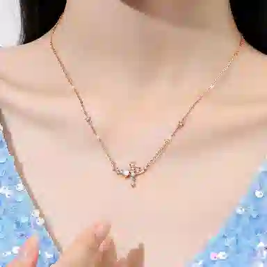 ins S999