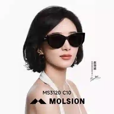 MOLSION