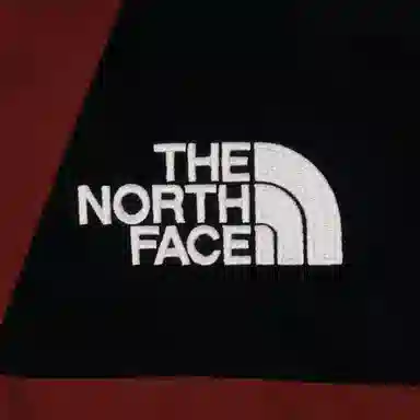 THE NORTH FACE 1994 Retro Mountain Light Futurelight Jacket