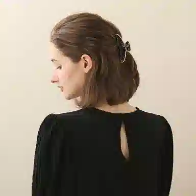 ALEXANDRE DE PARISVELOUTE