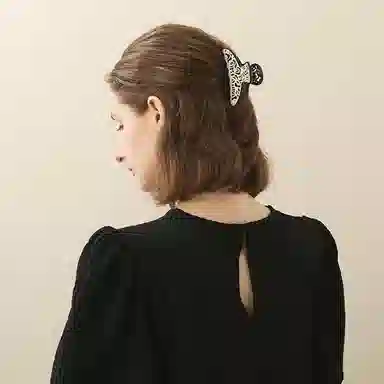 ALEXANDRE DE PARISVELOUTE