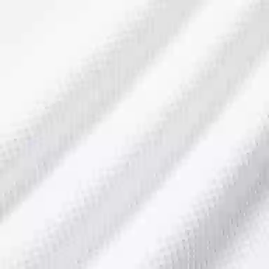 Polo Ralph Lauren Logo