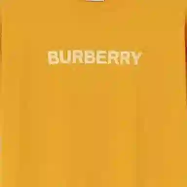 Burberry SS23 LogoT