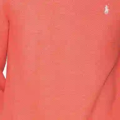 Polo Ralph Lauren Logo