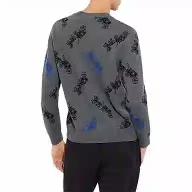 COACH V-Neck Sweater Grey