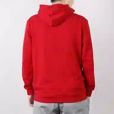 adidas originals TREFOIL HOODIE