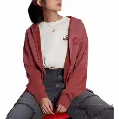 Dickies SS25 logo