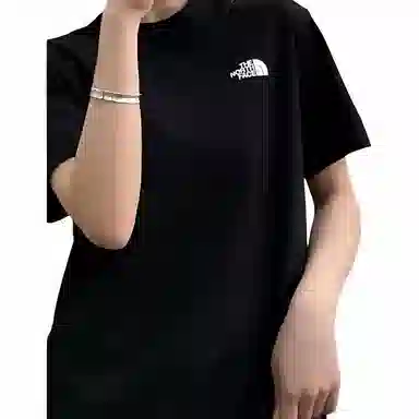 THE NORTH FACE logo T