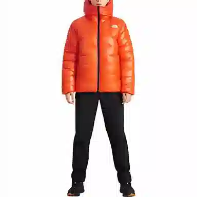 THE NORTH FACE 800