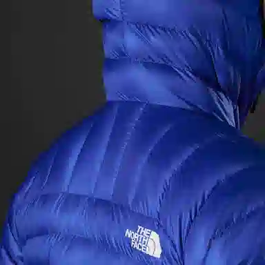 THE NORTH FACE Logo