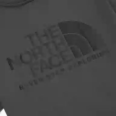 THE NORTH FACE Cotton Logo Ss Rtee Logo T