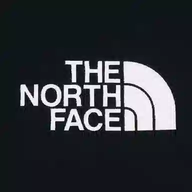 THE NORTH FACE Urban Exploration SS22 Never Stop Exploring LogoT