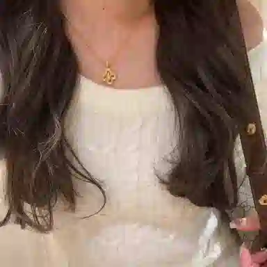 迎百宝 金蛇献瑞 好运缠身 好运 新中式国潮本命年幸运四叶草巳巳如意锁骨链 蛇年精致时尚重工百搭显白设计感 合金 项链 男女同款情侣款