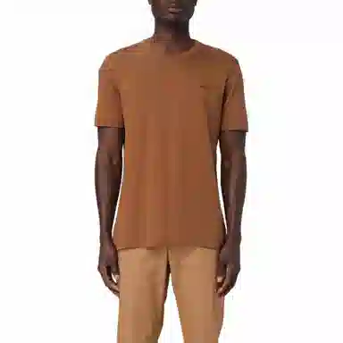 Zegna Logo T