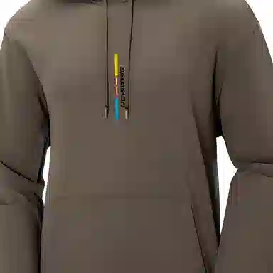 Salomon Sportstyle Hoodie Brown