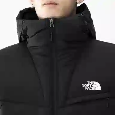 The North Face 550 Hoodie Down Jacket