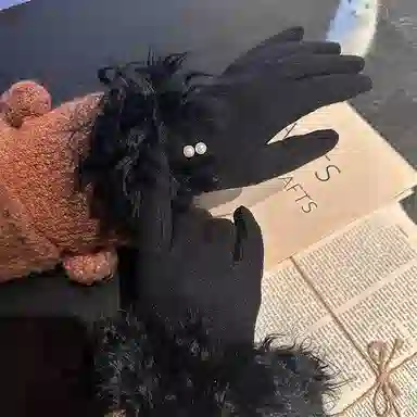 lagur Woolen Touchscreen Gloves