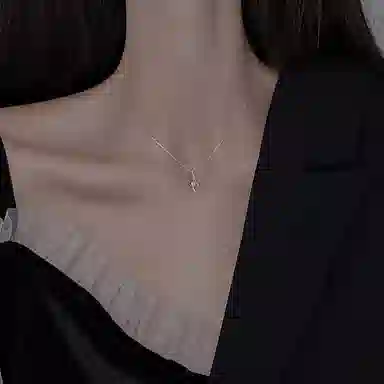 PHOENIXSILY Hins 999