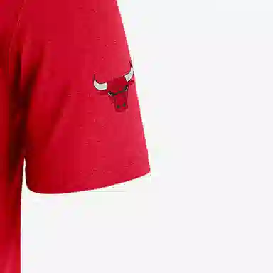 Jordan Logo T