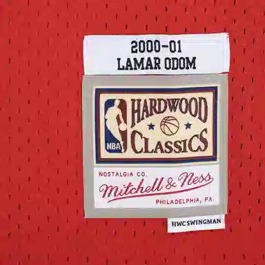 Mitchell Ness NBA SW 00-01 7