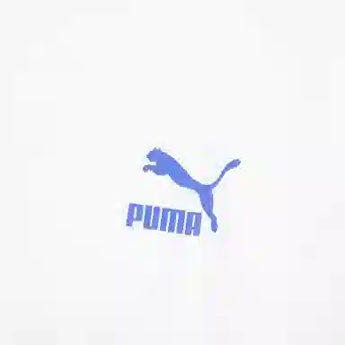 PUMA CLASSICS PC GRAPHIC TEE logoT