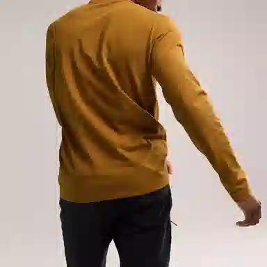 Arcteryx Captive Arc'Word Shirt LS Men