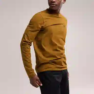 Arcteryx Captive Arc'Word Shirt LS Men