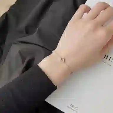CARAT'SDIARYS925