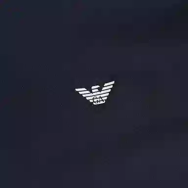 EMPORIO ARMANI T
