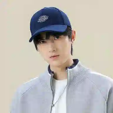 Dickies Cap